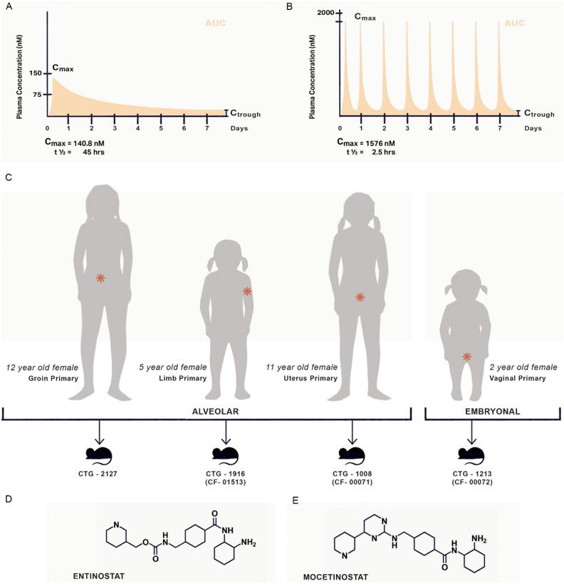 https://cdn.ncbi.nlm.nih.gov/pmc/blobs/ca3e/11327338/bfbb8b4e004e/41598_2024_66545_Fig2_HTML.jpg