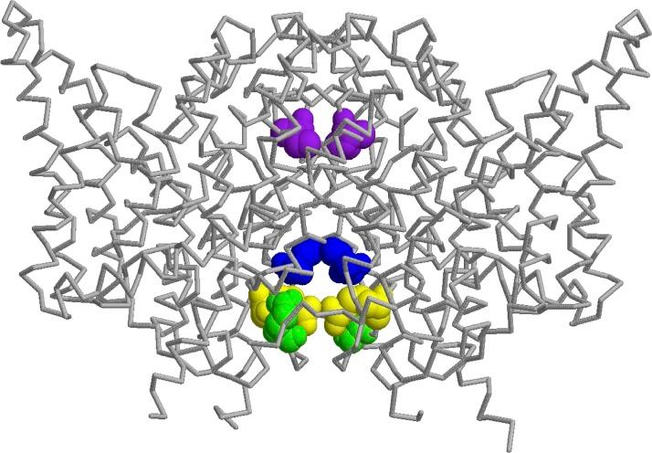 https://cdn.ncbi.nlm.nih.gov/pmc/blobs/ca3e/4664824/4caf84d247ea/JGP_201511413_Fig1.jpg