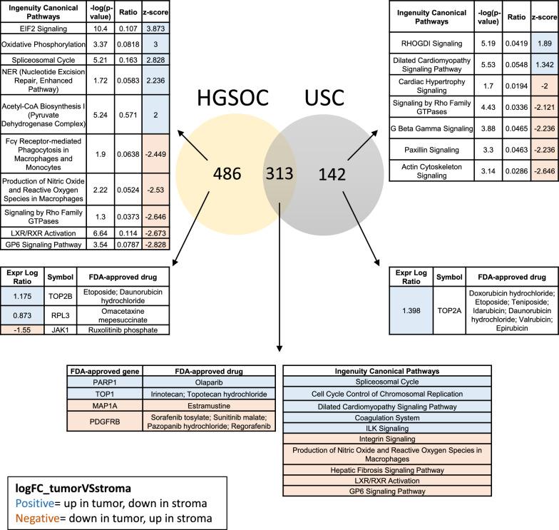 https://cdn.ncbi.nlm.nih.gov/pmc/blobs/ca42/10804562/ed34561857a2/12014_2024_9451_Fig6_HTML.jpg
