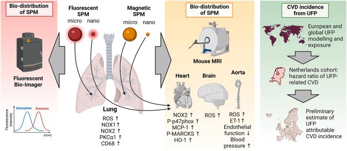 https://cdn.ncbi.nlm.nih.gov/pmc/blobs/ca42/12124686/281f686b1a17/ga1.jpg