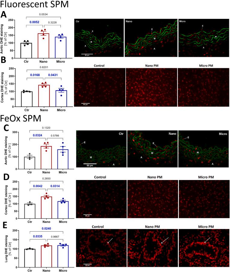https://cdn.ncbi.nlm.nih.gov/pmc/blobs/ca42/12124686/86ac6fdb4764/gr3.jpg