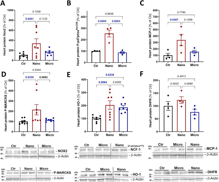 https://cdn.ncbi.nlm.nih.gov/pmc/blobs/ca42/12124686/b9bed916bd52/gr5.jpg