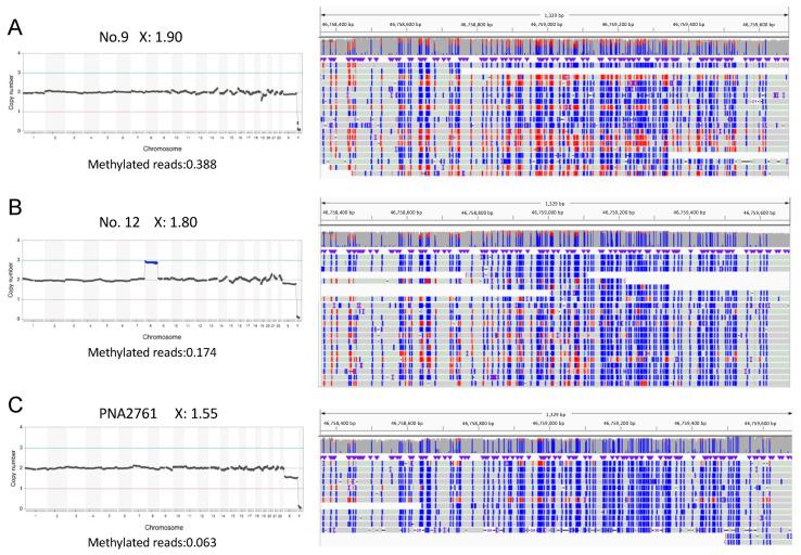 https://cdn.ncbi.nlm.nih.gov/pmc/blobs/ca43/11353422/2a2ef6f325e5/genes-15-01100-g004.jpg