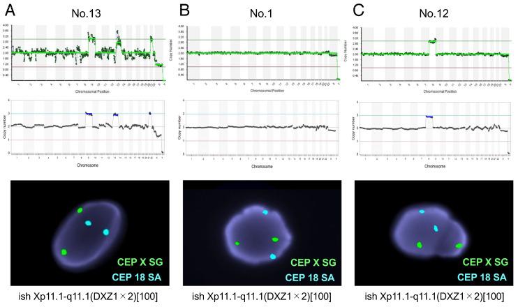 https://cdn.ncbi.nlm.nih.gov/pmc/blobs/ca43/11353422/e55a2f163c97/genes-15-01100-g002.jpg