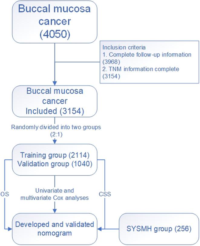 https://cdn.ncbi.nlm.nih.gov/pmc/blobs/ca44/10905535/e6b6d824d3f4/CAM4-13-e6907-g012.jpg