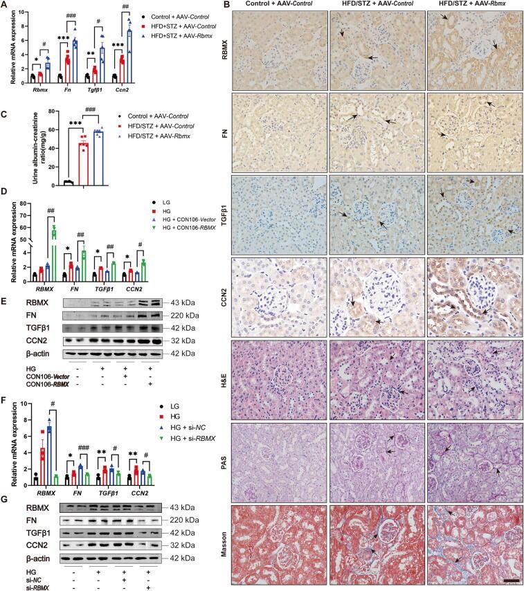 https://cdn.ncbi.nlm.nih.gov/pmc/blobs/ca45/12302726/87e908f7d588/gr2.jpg