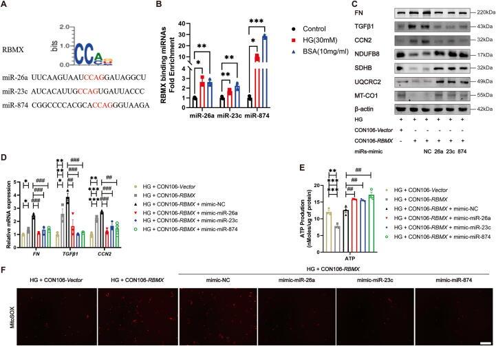 https://cdn.ncbi.nlm.nih.gov/pmc/blobs/ca45/12302726/c401abf9f71b/gr6.jpg