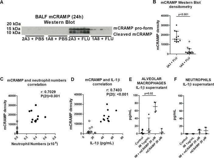 https://cdn.ncbi.nlm.nih.gov/pmc/blobs/ca45/5969338/e6cd83281b29/thoraxjnl-2017-210010f05.jpg