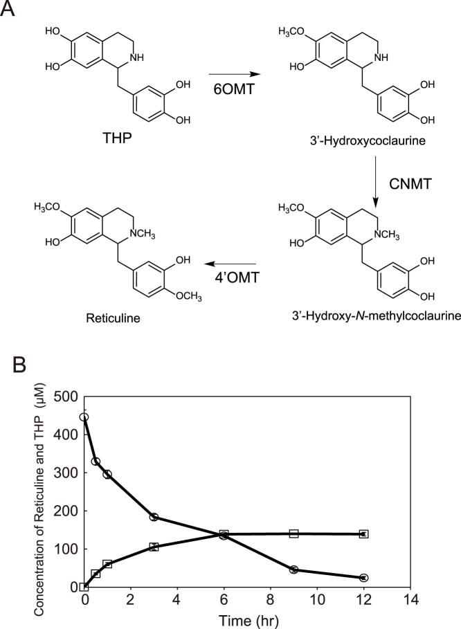 https://cdn.ncbi.nlm.nih.gov/pmc/blobs/ca46/4204043/332069ceb8e8/srep06695-f4.jpg