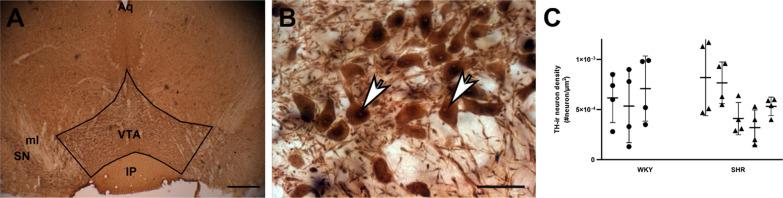 https://cdn.ncbi.nlm.nih.gov/pmc/blobs/ca47/10500870/d62753dadab3/42826_2023_172_Fig3_HTML.jpg