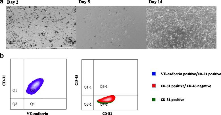 https://cdn.ncbi.nlm.nih.gov/pmc/blobs/ca48/5605973/70957c434ff7/13048_2017_354_Fig1_HTML.jpg