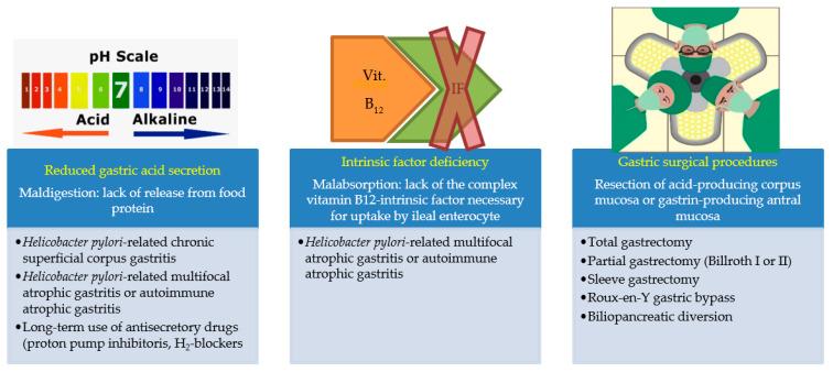https://cdn.ncbi.nlm.nih.gov/pmc/blobs/ca48/7828248/932c08ed9e27/nutrients-13-00208-g001.jpg