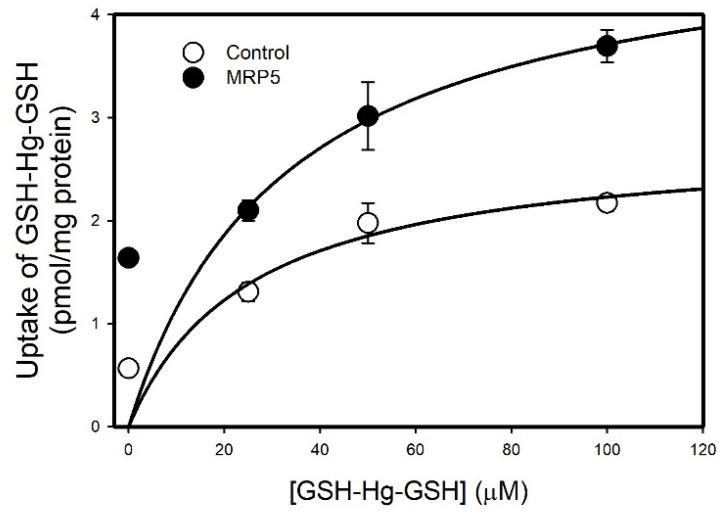 https://cdn.ncbi.nlm.nih.gov/pmc/blobs/ca49/11818351/6082a7d98535/ijms-26-01194-g009.jpg