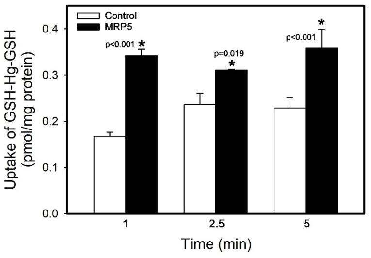 https://cdn.ncbi.nlm.nih.gov/pmc/blobs/ca49/11818351/6a5f2ff14cba/ijms-26-01194-g007.jpg