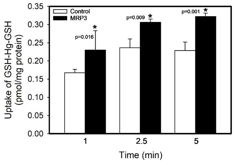 https://cdn.ncbi.nlm.nih.gov/pmc/blobs/ca49/11818351/c2a7976fb258/ijms-26-01194-g003.jpg