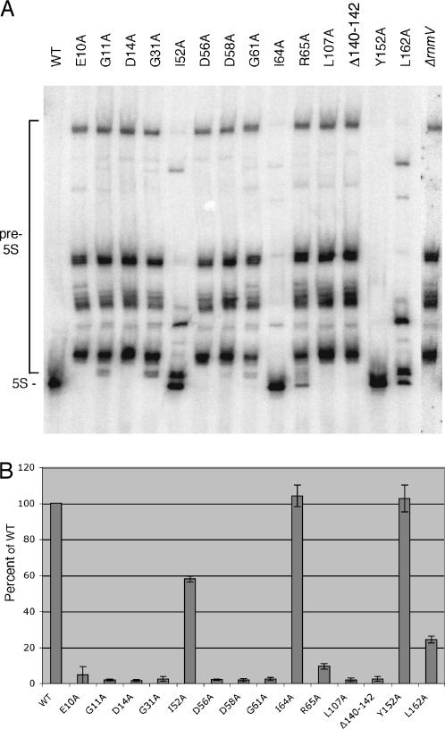 https://cdn.ncbi.nlm.nih.gov/pmc/blobs/ca49/1182330/4c3e662f029f/gki752f3.jpg