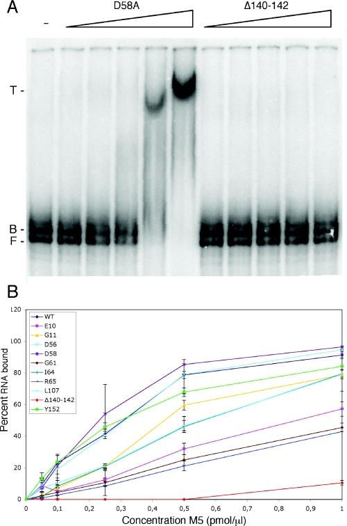 https://cdn.ncbi.nlm.nih.gov/pmc/blobs/ca49/1182330/fe921131e86c/gki752f5.jpg