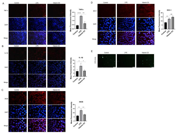 https://cdn.ncbi.nlm.nih.gov/pmc/blobs/ca4a/11518320/1760abc1e6dc/tjmed-54-05-1165f4.jpg