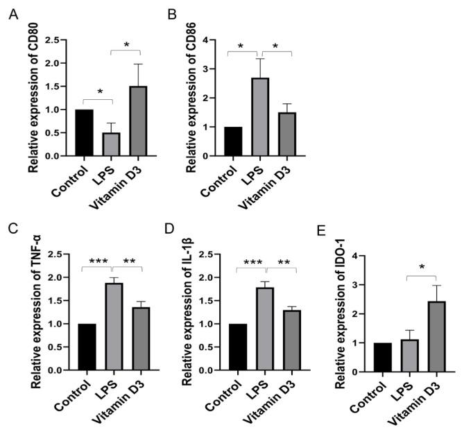 https://cdn.ncbi.nlm.nih.gov/pmc/blobs/ca4a/11518320/19b729aacf70/tjmed-54-05-1165f3.jpg