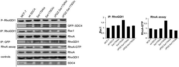 https://cdn.ncbi.nlm.nih.gov/pmc/blobs/ca4b/5679609/4e755c0a2c28/pone.0187094.g004.jpg