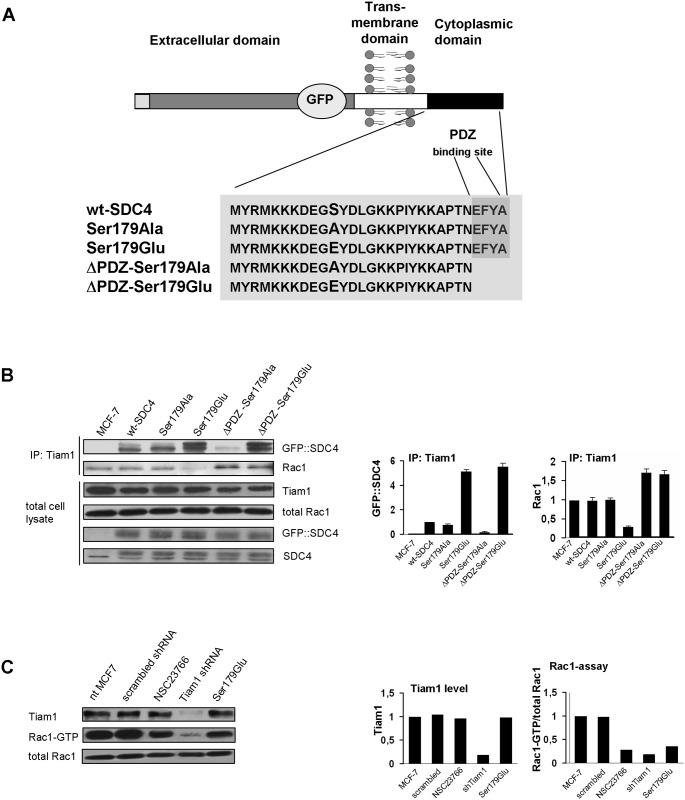 https://cdn.ncbi.nlm.nih.gov/pmc/blobs/ca4b/5679609/5d77184c93e0/pone.0187094.g001.jpg
