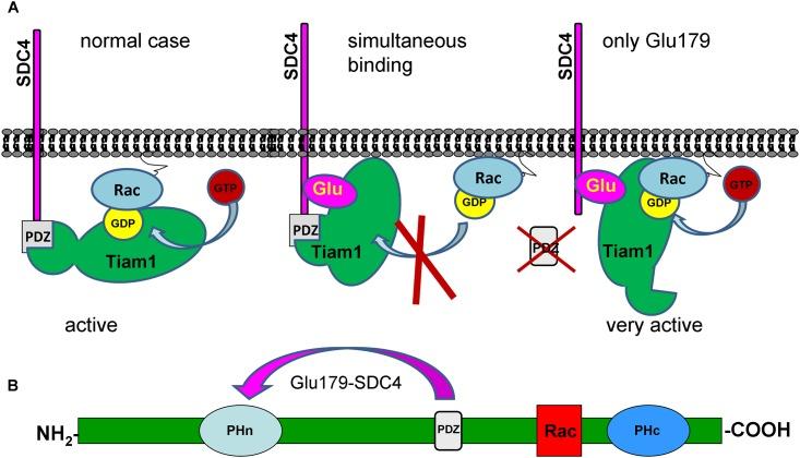 https://cdn.ncbi.nlm.nih.gov/pmc/blobs/ca4b/5679609/69093b2cf4e4/pone.0187094.g002.jpg