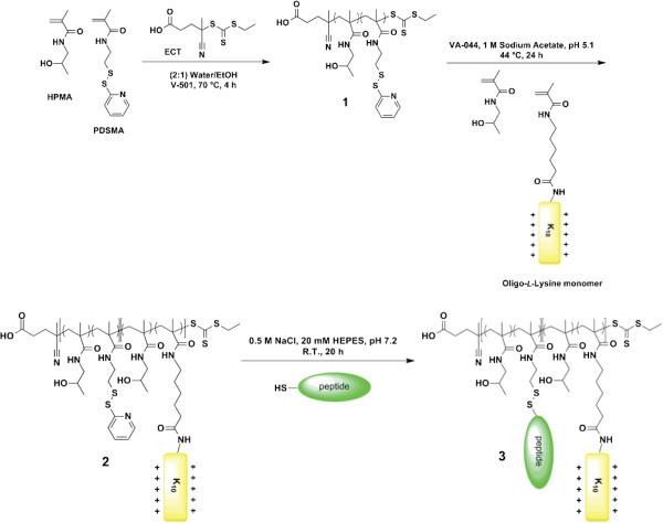 https://cdn.ncbi.nlm.nih.gov/pmc/blobs/ca4d/4015834/e996d3a2a052/1754-1611-7-25-3.jpg
