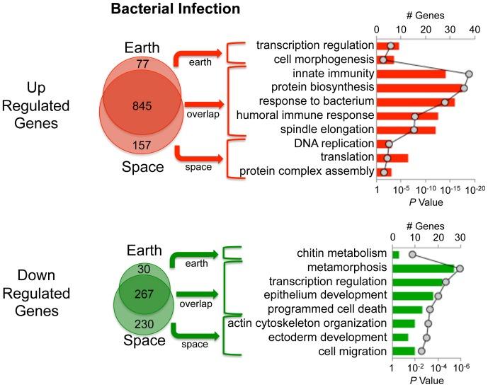 https://cdn.ncbi.nlm.nih.gov/pmc/blobs/ca4f/3901686/864f3cb46863/pone.0086485.g005.jpg