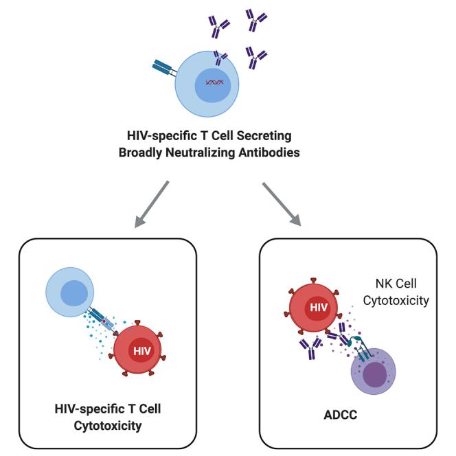 https://cdn.ncbi.nlm.nih.gov/pmc/blobs/ca50/7508916/040f54e79802/fx1.jpg