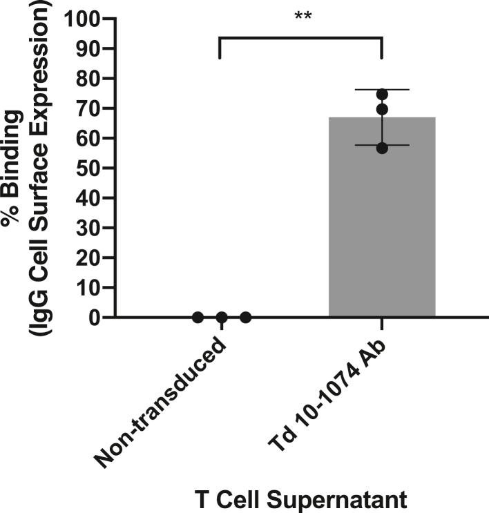 https://cdn.ncbi.nlm.nih.gov/pmc/blobs/ca50/7508916/8882319ebe91/gr2.jpg