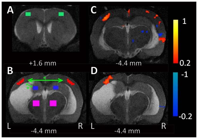 https://cdn.ncbi.nlm.nih.gov/pmc/blobs/ca51/3991600/e3d8971cd043/pone.0095280.g001.jpg
