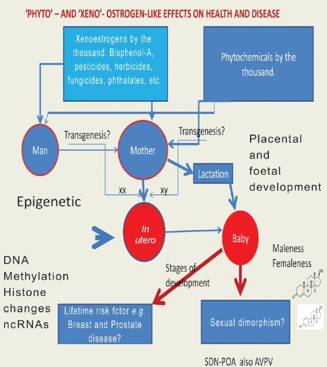 https://cdn.ncbi.nlm.nih.gov/pmc/blobs/ca52/4345759/40c10a996973/IJMR-140-82-g001.jpg