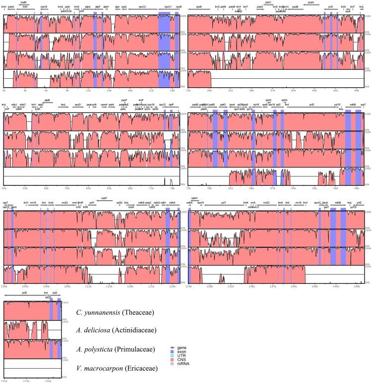 https://cdn.ncbi.nlm.nih.gov/pmc/blobs/ca52/4956199/81f3bb60c4b3/pone.0159566.g002.jpg