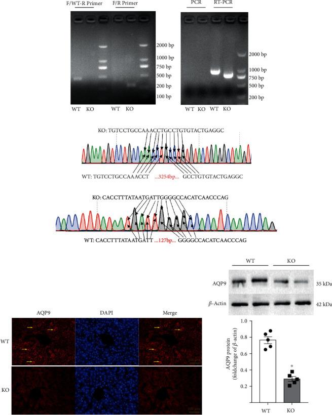 https://cdn.ncbi.nlm.nih.gov/pmc/blobs/ca52/8517626/23ca8a398f2f/OMCL2021-5653700.002.jpg