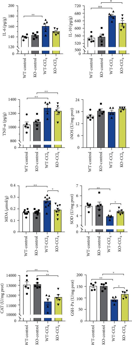 https://cdn.ncbi.nlm.nih.gov/pmc/blobs/ca52/8517626/d8631f5474cd/OMCL2021-5653700.006.jpg