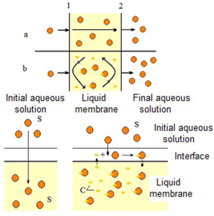 https://cdn.ncbi.nlm.nih.gov/pmc/blobs/ca55/9414664/809308840cfa/membranes-12-00771-g002.jpg