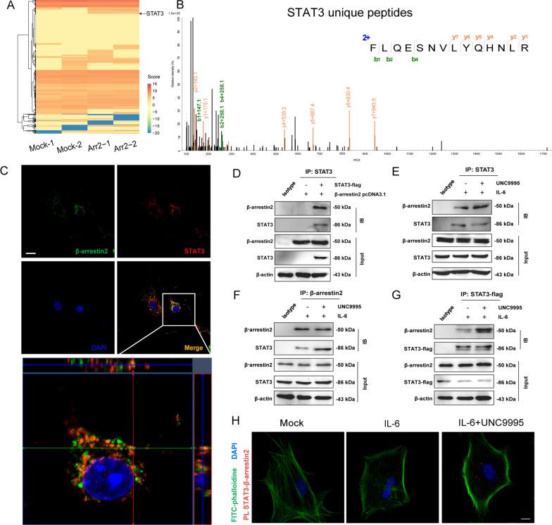 https://cdn.ncbi.nlm.nih.gov/pmc/blobs/ca56/9526944/2b6a0176854d/12974_2022_2597_Fig5_HTML.jpg