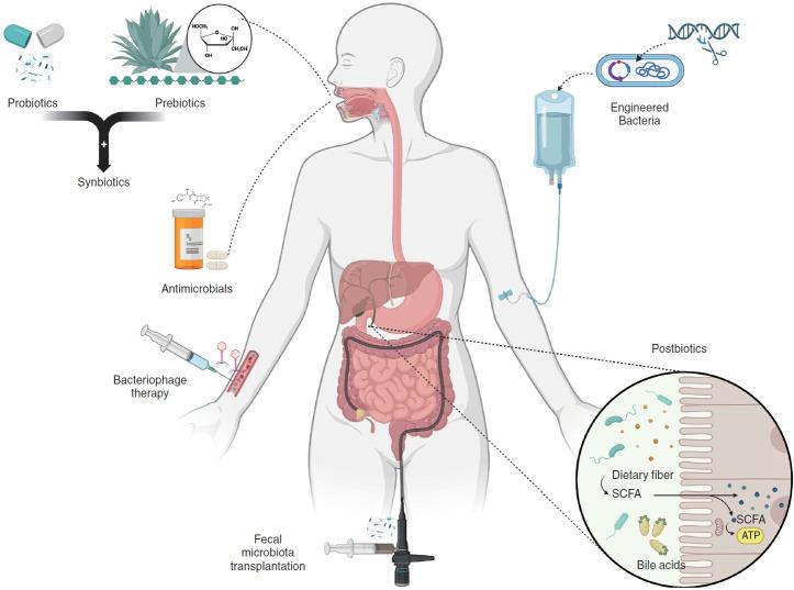 https://cdn.ncbi.nlm.nih.gov/pmc/blobs/ca5a/11925441/14a0d6a7f765/cmh-2024-0811f2.jpg