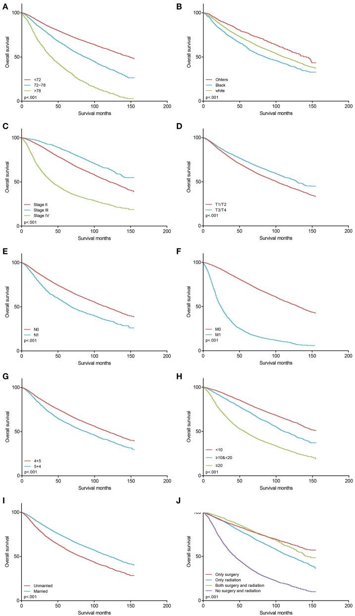 https://cdn.ncbi.nlm.nih.gov/pmc/blobs/ca5a/8107690/64cfa802f07d/fonc-11-633312-g0003.jpg