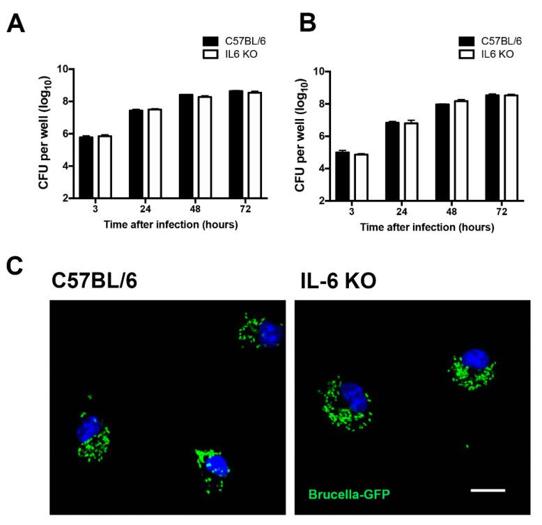 https://cdn.ncbi.nlm.nih.gov/pmc/blobs/ca5c/7764695/59c948109979/pathogens-09-01040-g001.jpg