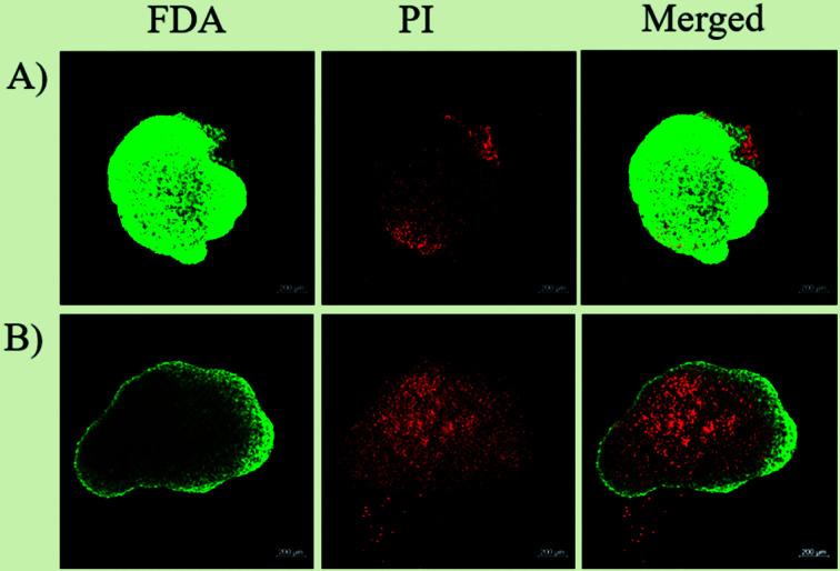 https://cdn.ncbi.nlm.nih.gov/pmc/blobs/ca62/9418625/6ddf4a8b3f73/d1na00224d-c1.jpg