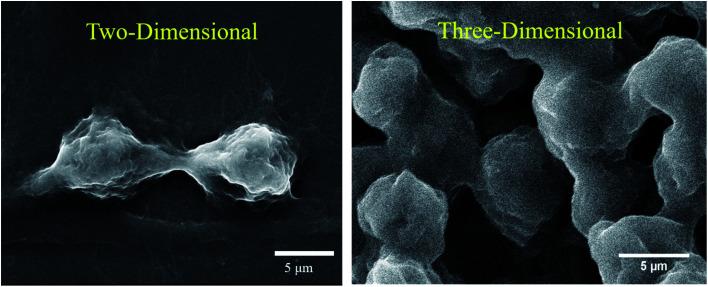 https://cdn.ncbi.nlm.nih.gov/pmc/blobs/ca62/9418625/a10863708734/d1na00224d-f2.jpg