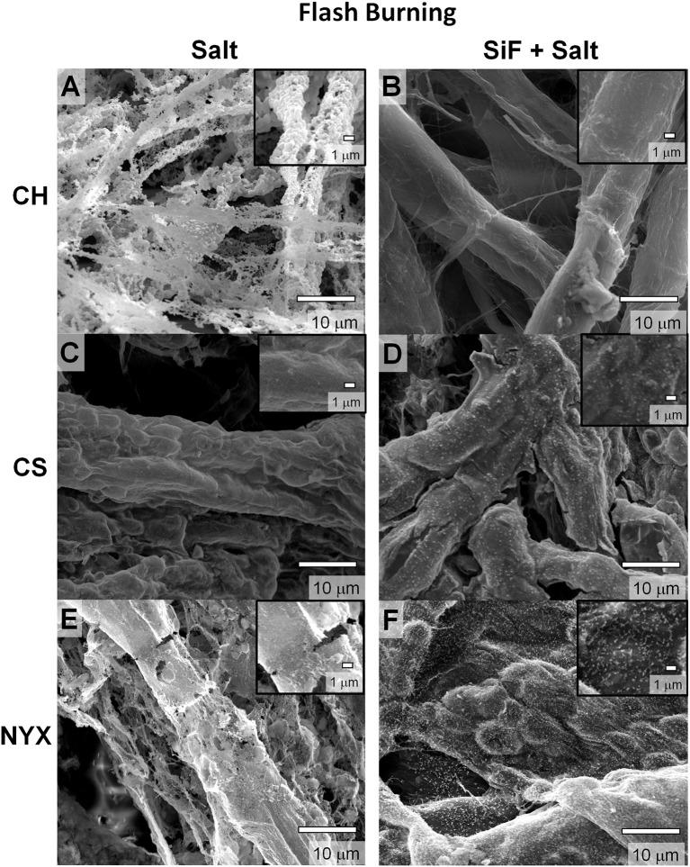 https://cdn.ncbi.nlm.nih.gov/pmc/blobs/ca63/6137831/e8b924ecd122/fchem-06-00338-g0002.jpg