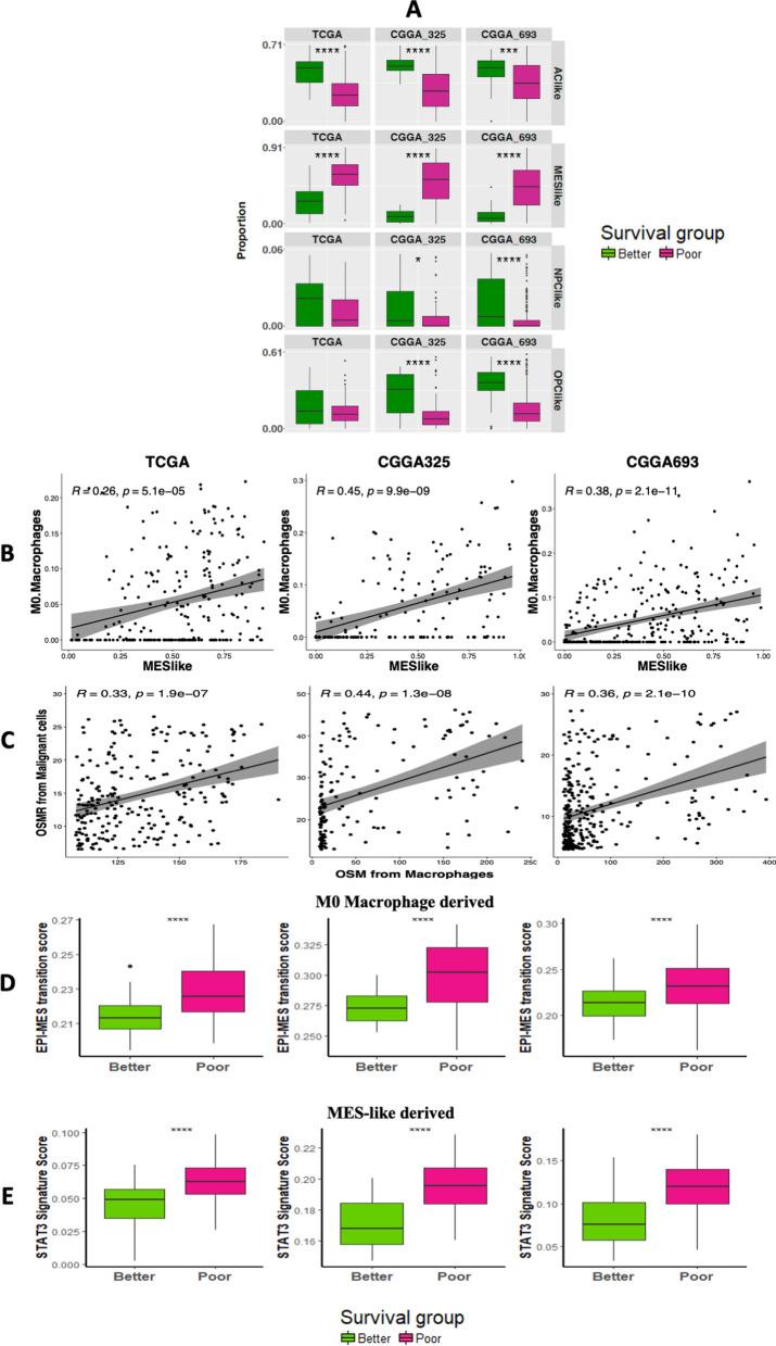 https://cdn.ncbi.nlm.nih.gov/pmc/blobs/ca65/8830123/d9c7eb6b9d51/40478_2022_1323_Fig5_HTML.jpg
