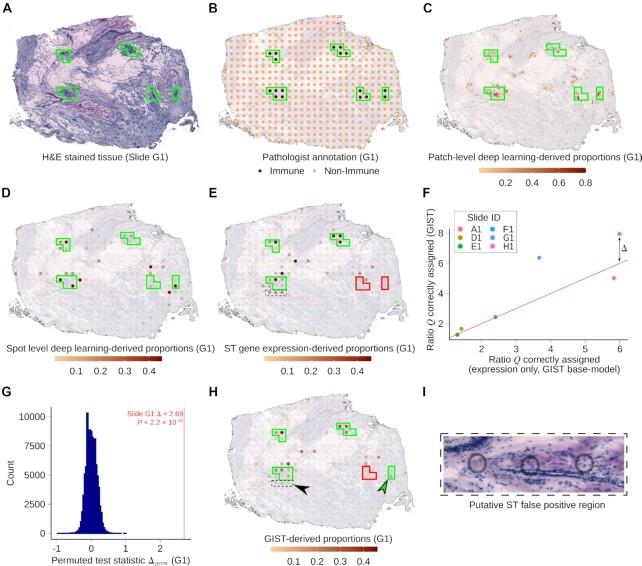 https://cdn.ncbi.nlm.nih.gov/pmc/blobs/ca65/9371936/35ea9d9bdfbd/gkac320fig4.jpg