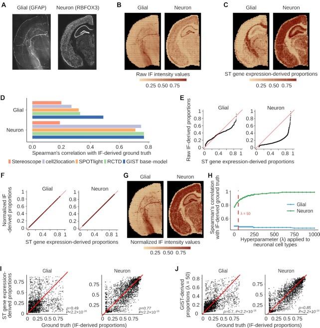 https://cdn.ncbi.nlm.nih.gov/pmc/blobs/ca65/9371936/ac4f09162aaa/gkac320fig3.jpg