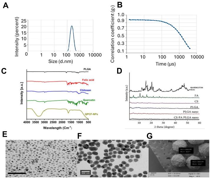 https://cdn.ncbi.nlm.nih.gov/pmc/blobs/ca66/11991491/9551749431aa/polymers-17-00955-g003.jpg