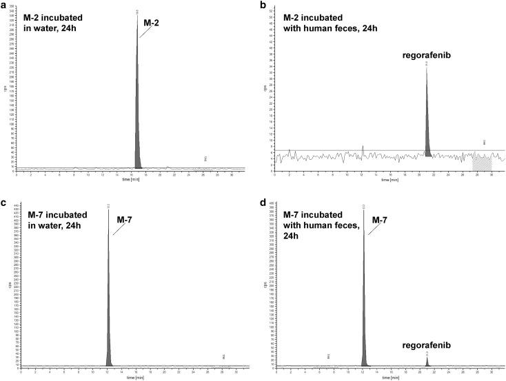 https://cdn.ncbi.nlm.nih.gov/pmc/blobs/ca66/5754413/d3248bebc386/280_2017_3480_Fig3_HTML.jpg