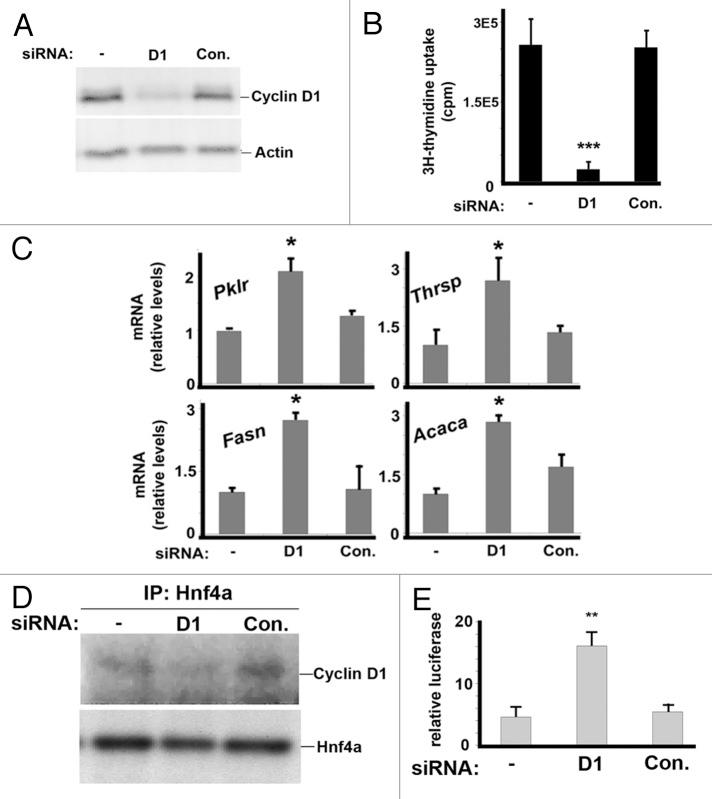 https://cdn.ncbi.nlm.nih.gov/pmc/blobs/ca67/3409010/163d996f999d/cc-11-2681-g5.jpg
