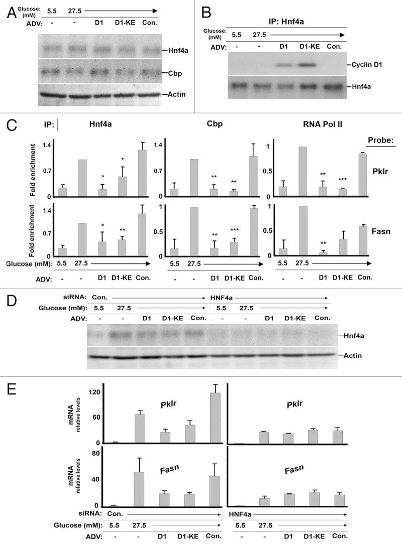 https://cdn.ncbi.nlm.nih.gov/pmc/blobs/ca67/3409010/e1f7e91ad34c/cc-11-2681-g4.jpg